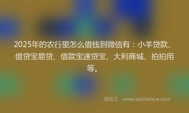 2025年的农行里怎么借钱到微信有：小羊贷款、借贷宝易贷、借款宝速贷宝、大利商城、拍拍用等。