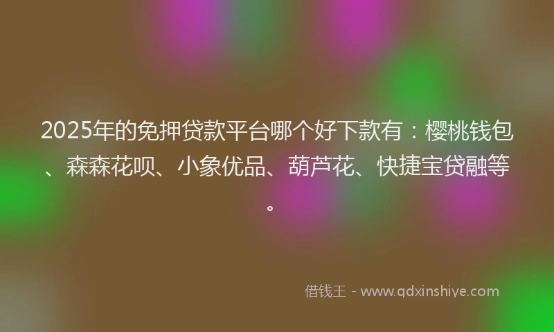 2025年的免押贷款平台哪个好下款有：樱桃钱包、森森花呗、小象优品、葫芦花、快捷宝贷融等。