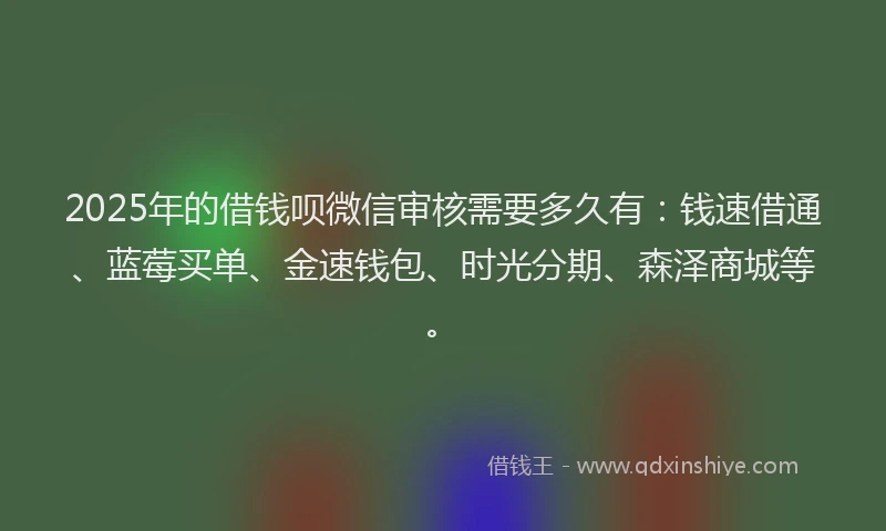 2025年的借钱呗微信审核需要多久有：钱速借通、蓝莓买单、金速钱包、时光分期、森泽商城等。