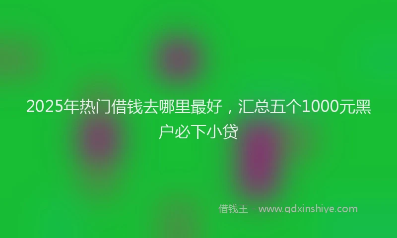 2025年热门借钱去哪里最好，汇总五个1000元黑户必下小贷