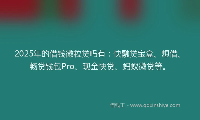 2025年的借钱微粒贷吗有：快融贷宝盒、想借、畅贷钱包Pro、现金快贷、蚂蚁微贷等。