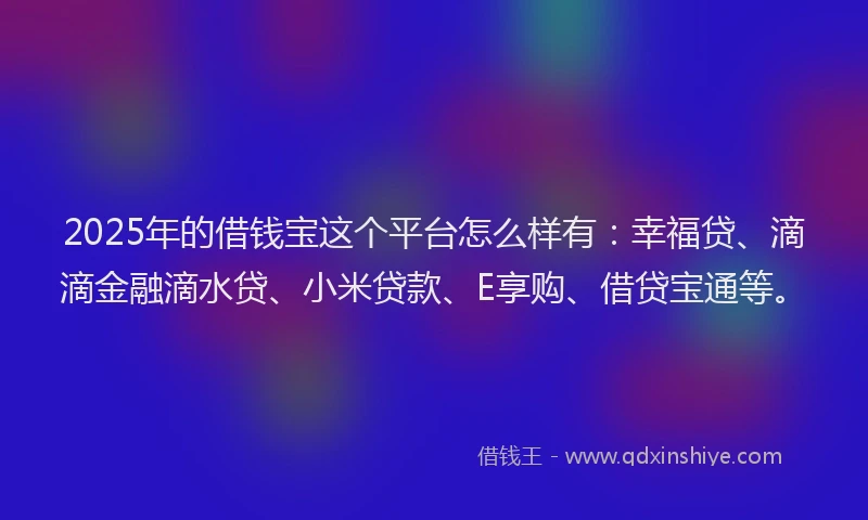 2025年的借钱宝这个平台怎么样有：幸福贷、滴滴金融滴水贷、小米贷款、E享购、借贷宝通等。