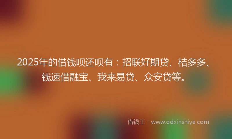 2025年的借钱呗还呗有：招联好期贷、桔多多、钱速借融宝、我来易贷、众安贷等。