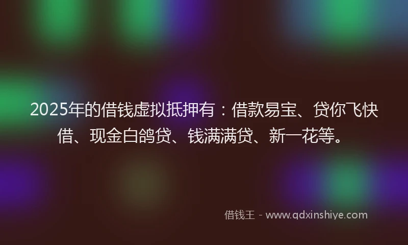2025年的借钱虚拟抵押有：借款易宝、贷你飞快借、现金白鸽贷、钱满满贷、新一花等。