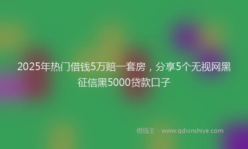 2025年热门借钱5万赔一套房，分享5个无视网黑征信黑5000贷款口子