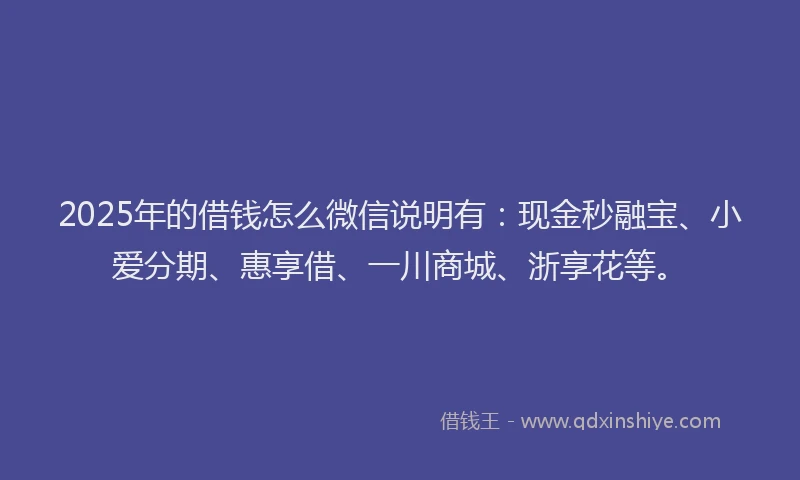 2025年的借钱怎么微信说明有：现金秒融宝、小爱分期、惠享借、一川商城、浙享花等。