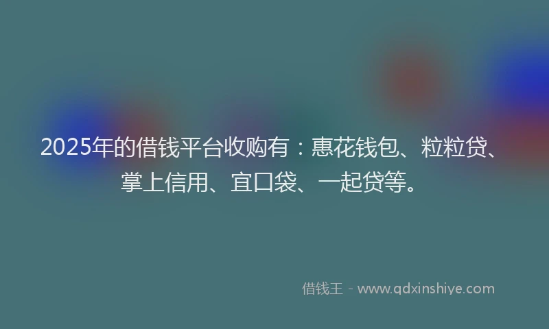 2025年的借钱平台收购有：惠花钱包、粒粒贷、掌上信用、宜口袋、一起贷等。