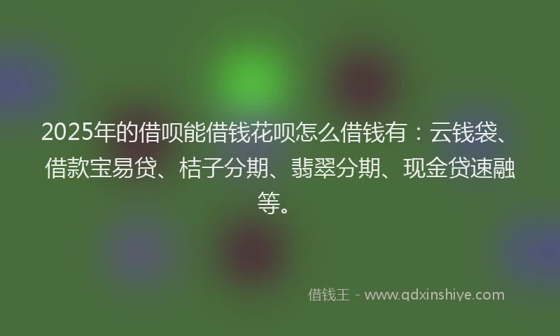 2025年的借呗能借钱花呗怎么借钱有：云钱袋、借款宝易贷、桔子分期、翡翠分期、现金贷速融等。