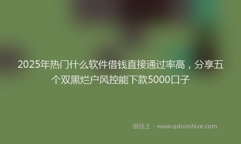 2025年热门什么软件借钱直接通过率高，分享五个双黑烂户风控能下款5000口子