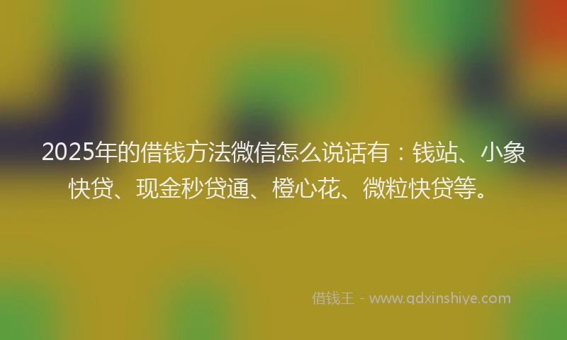 2025年的借钱方法微信怎么说话有：钱站、小象快贷、现金秒贷通、橙心花、微粒快贷等。
