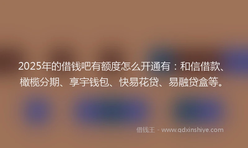 2025年的借钱吧有额度怎么开通有：和信借款、橄榄分期、享宇钱包、快易花贷、易融贷盒等。