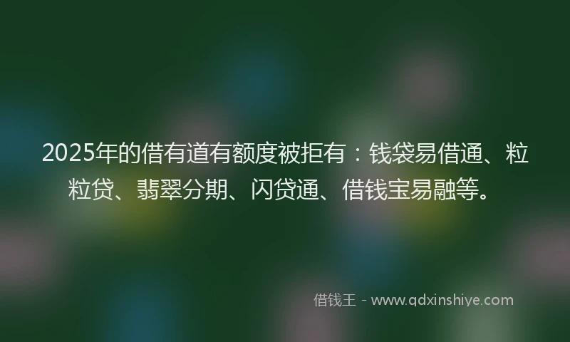 2025年的借有道有额度被拒有：钱袋易借通、粒粒贷、翡翠分期、闪贷通、借钱宝易融等。