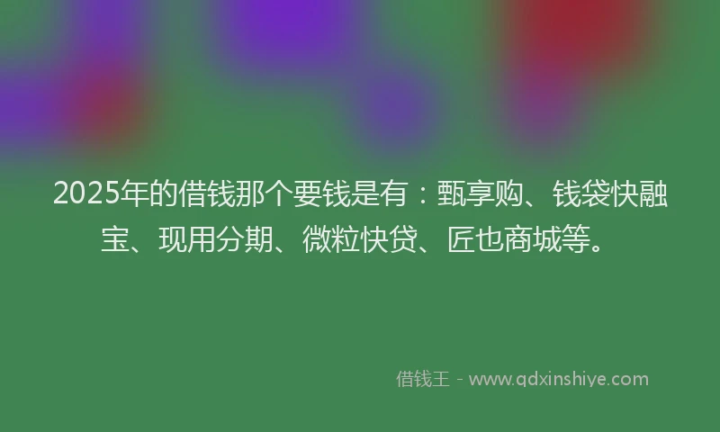 2025年的借钱那个要钱是有：甄享购、钱袋快融宝、现用分期、微粒快贷、匠也商城等。