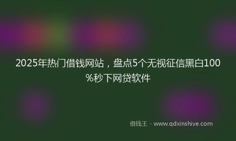 2025年热门借钱网站，盘点5个无视征信黑白100%秒下网贷软件