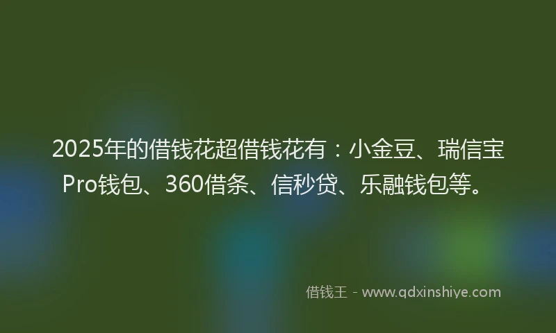 2025年的借钱花超借钱花有：小金豆、瑞信宝Pro钱包、360借条、信秒贷、乐融钱包等。