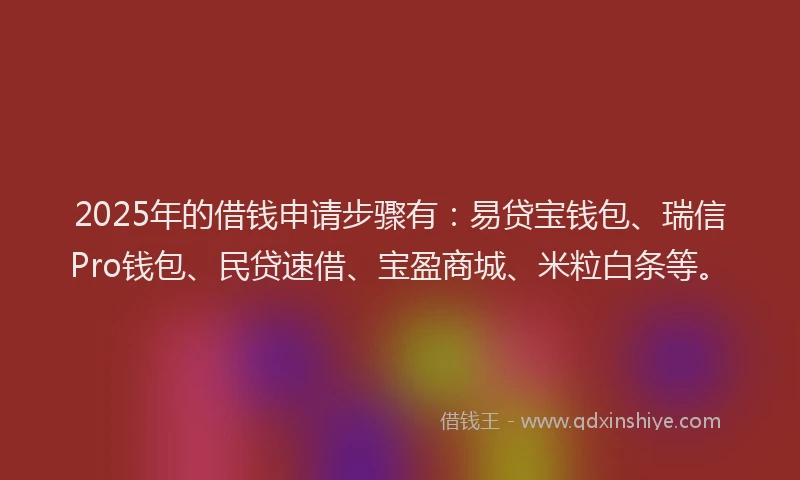 2025年的借钱申请步骤有：易贷宝钱包、瑞信Pro钱包、民贷速借、宝盈商城、米粒白条等。