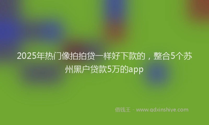 2025年热门像拍拍贷一样好下款的，整合5个苏州黑户贷款5万的app