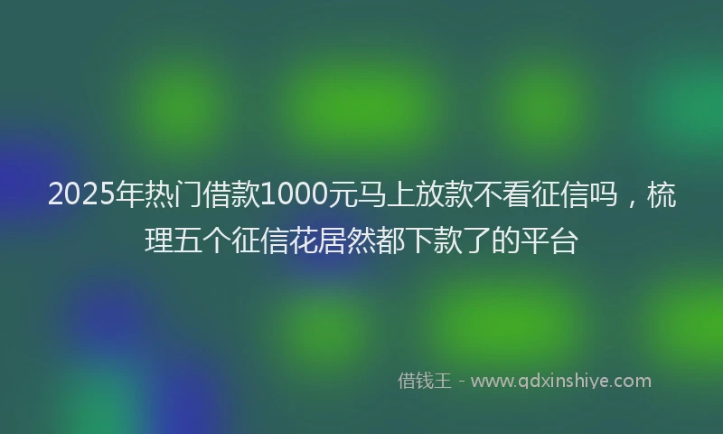 2025年热门借款1000元马上放款不看征信吗，梳理五个征信花居然都下款了的平台