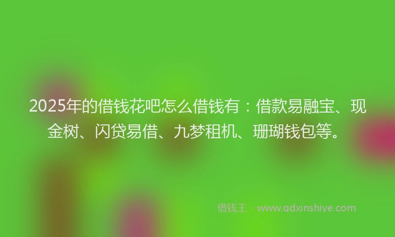 2025年的借钱花吧怎么借钱有：借款易融宝、现金树、闪贷易借、九梦租机、珊瑚钱包等。
