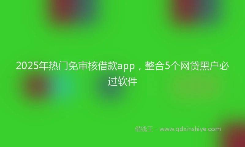 2025年热门免审核借款app，整合5个网贷黑户必过软件
