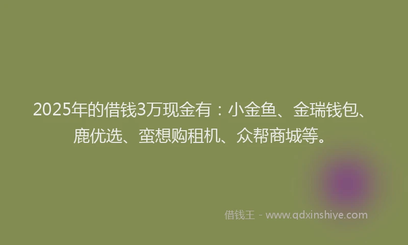 2025年的借钱3万现金有：小金鱼、金瑞钱包、鹿优选、蛮想购租机、众帮商城等。