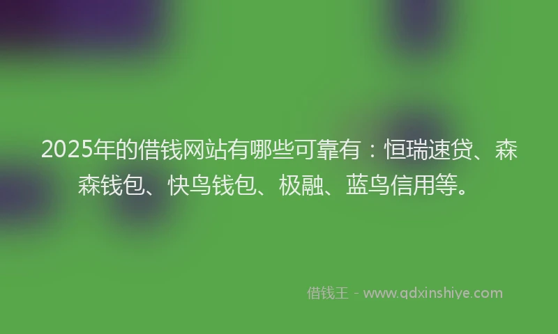 2025年的借钱网站有哪些可靠有：恒瑞速贷、森森钱包、快鸟钱包、极融、蓝鸟信用等。