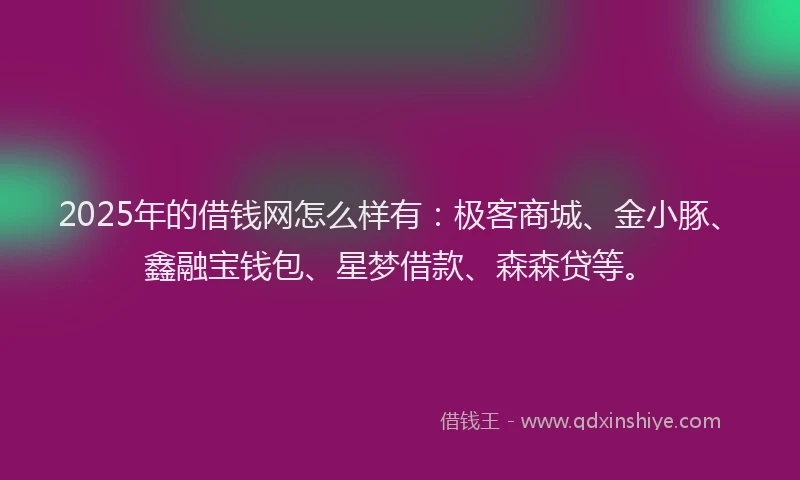 2025年的借钱网怎么样有：极客商城、金小豚、鑫融宝钱包、星梦借款、森森贷等。