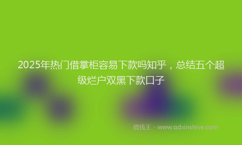 2025年热门借掌柜容易下款吗知乎，总结五个超级烂户双黑下款口子