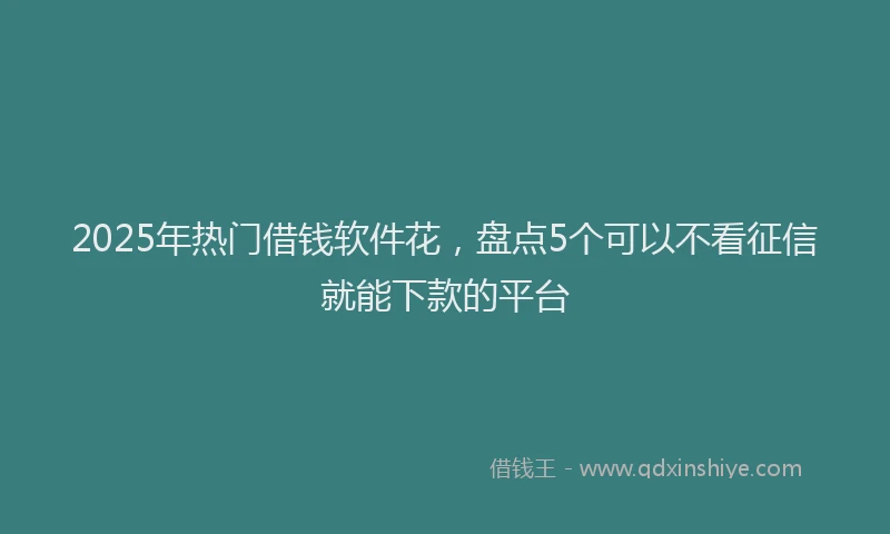 2025年热门借钱软件花，盘点5个可以不看征信就能下款的平台