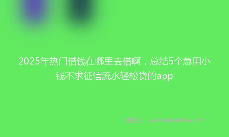 2025年热门借钱在哪里去借啊，总结5个急用小钱不求征信流水轻松贷的app