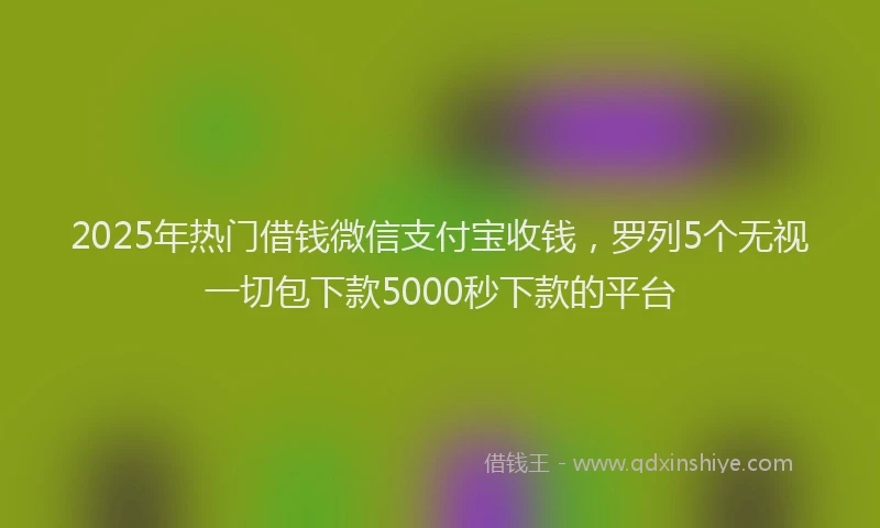 2025年热门借钱微信支付宝收钱，罗列5个无视一切包下款5000秒下款的平台