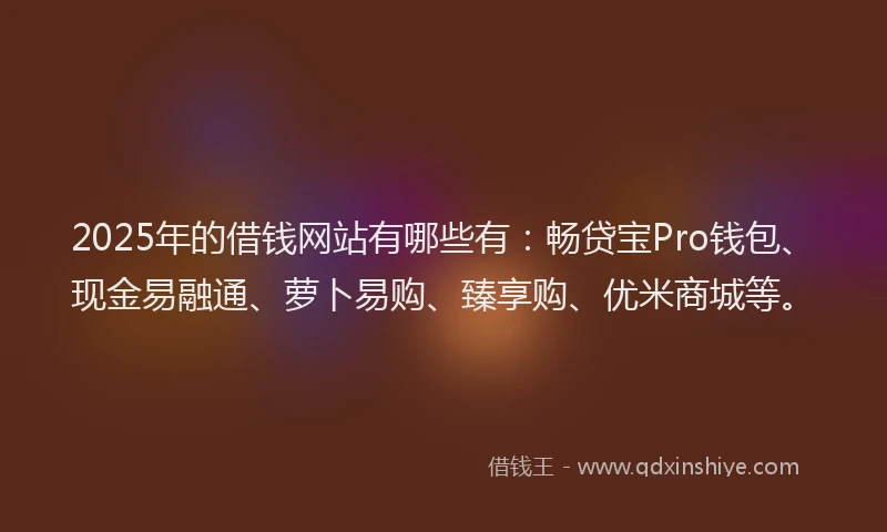 2025年的借钱网站有哪些有：畅贷宝Pro钱包、现金易融通、萝卜易购、臻享购、优米商城等。