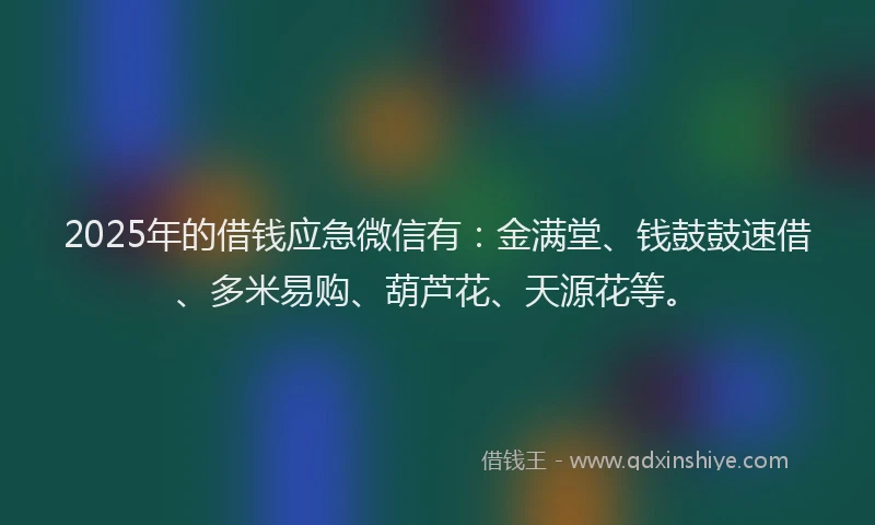 2025年的借钱应急微信有：金满堂、钱鼓鼓速借、多米易购、葫芦花、天源花等。