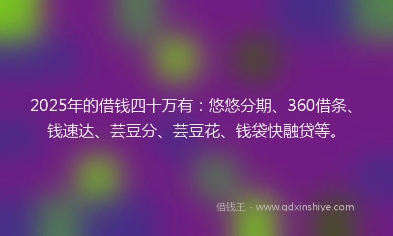 2025年的借钱四十万有：悠悠分期、360借条、钱速达、芸豆分、芸豆花、钱袋快融贷等。