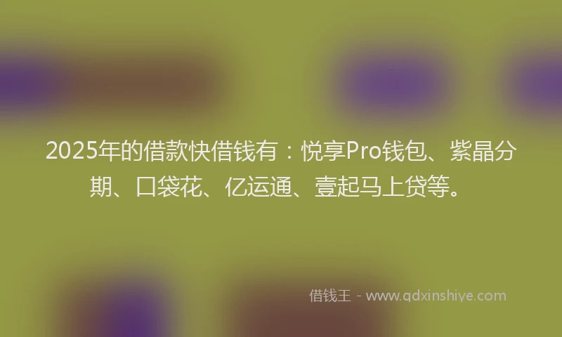 2025年的借款快借钱有：悦享Pro钱包、紫晶分期、口袋花、亿运通、壹起马上贷等。