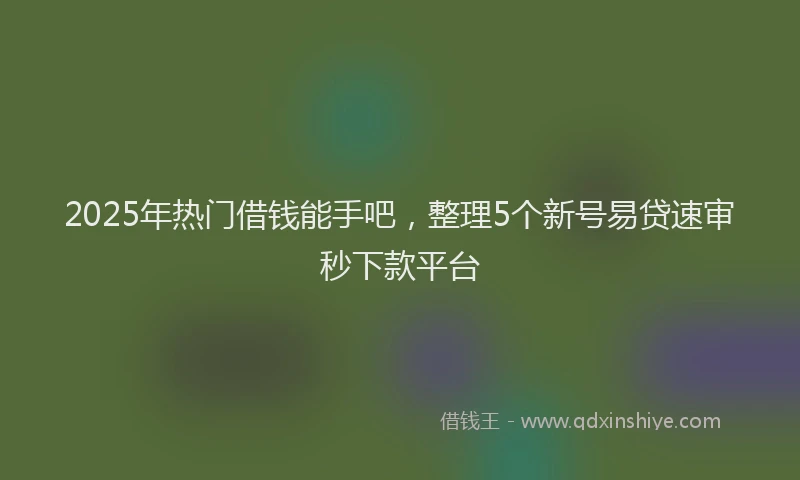 2025年热门借钱能手吧，整理5个新号易贷速审秒下款平台