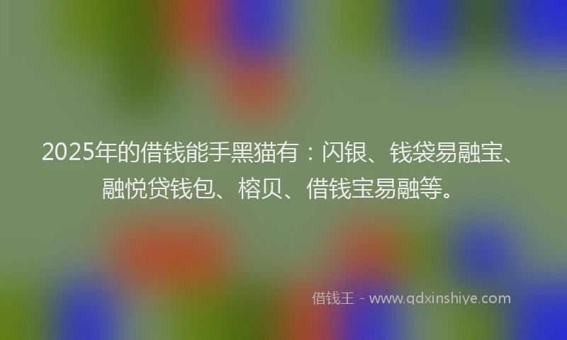 2025年的借钱能手黑猫有：闪银、钱袋易融宝、融悦贷钱包、榕贝、借钱宝易融等。