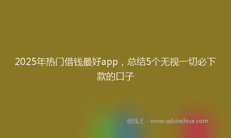 2025年热门借钱最好app，总结5个无视一切必下款的口子