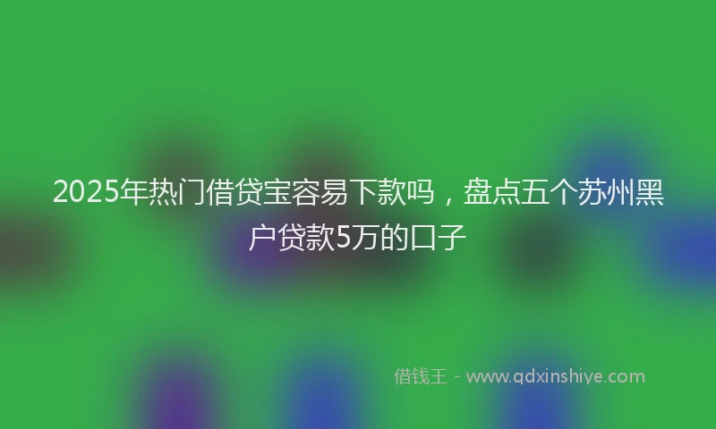 2025年热门借贷宝容易下款吗，盘点五个苏州黑户贷款5万的口子