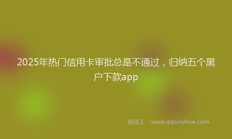 2025年热门信用卡审批总是不通过，归纳五个黑户下款app