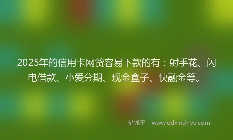 2025年的信用卡网贷容易下款的有：射手花、闪电借款、小爱分期、现金盒子、快融金等。