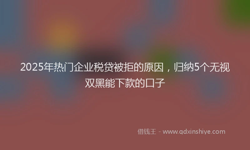2025年热门企业税贷被拒的原因，归纳5个无视双黑能下款的口子