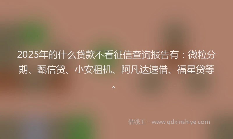 2025年的什么贷款不看征信查询报告有：微粒分期、甄信贷、小安租机、阿凡达速借、福星贷等。
