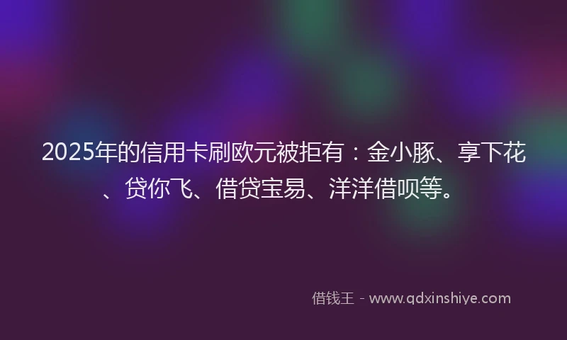 2025年的信用卡刷欧元被拒有：金小豚、享下花、贷你飞、借贷宝易、洋洋借呗等。