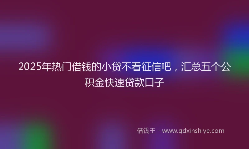 2025年热门借钱的小贷不看征信吧，汇总五个公积金快速贷款口子