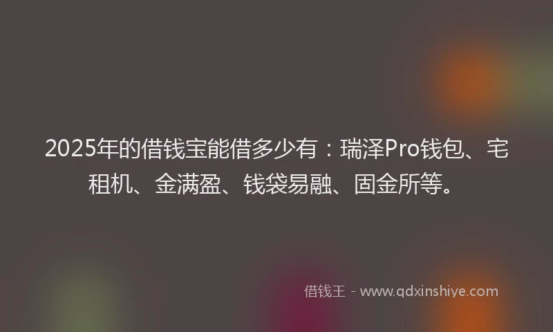 2025年的借钱宝能借多少有：瑞泽Pro钱包、宅租机、金满盈、钱袋易融、固金所等。