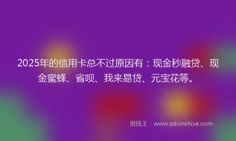 2025年的信用卡总不过原因有：现金秒融贷、现金蜜蜂、省呗、我来易贷、元宝花等。