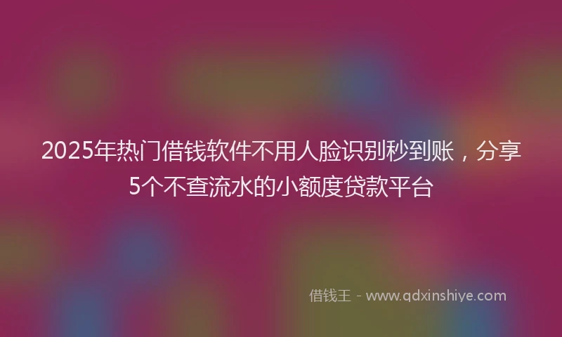 2025年热门借钱软件不用人脸识别秒到账，分享5个不查流水的小额度贷款平台