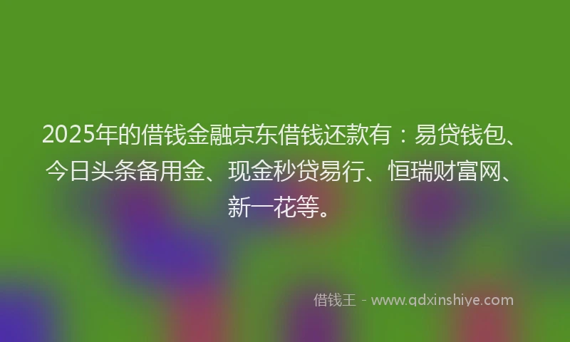 2025年的借钱金融京东借钱还款有：易贷钱包、今日头条备用金、现金秒贷易行、恒瑞财富网、新一花等。