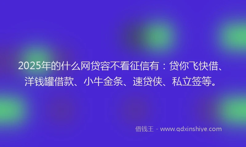 2025年的什么网贷容不看征信有：贷你飞快借、洋钱罐借款、小牛金条、速贷侠、私立签等。